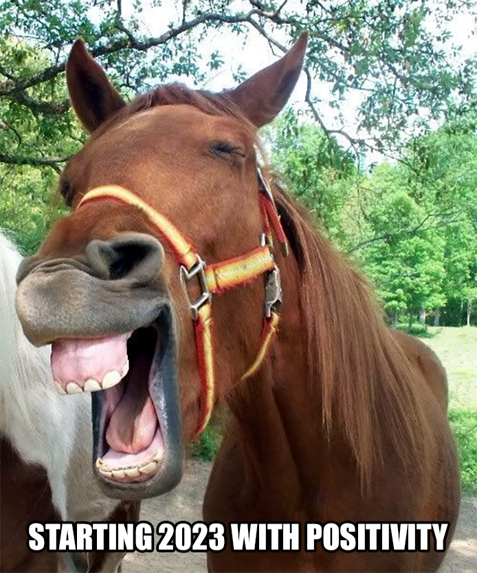 DeFi_Horse's tweet photo. 🎉 New year new you and new NFT horses coming up on our Marketplace soon! 
🐎 Click here to purchase your own horses: https://t.co/q0j2nSO4bP https://t.co/JvSCmMK0Qi