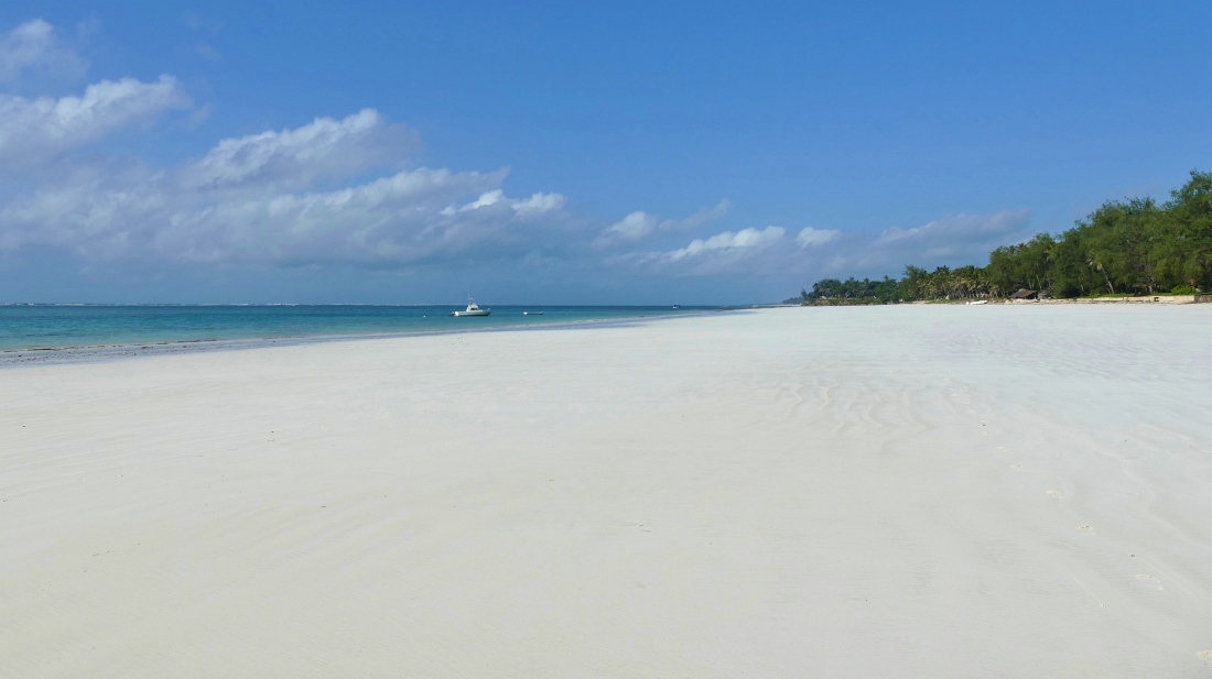 sexual_moon's tweet photo. Wenn man dieser Tage länger als ne Stunde hier abhängt, hat man nur noch einen Wunsch.
#DianiBeach #noWLan https://t.co/gaIrWfJS99