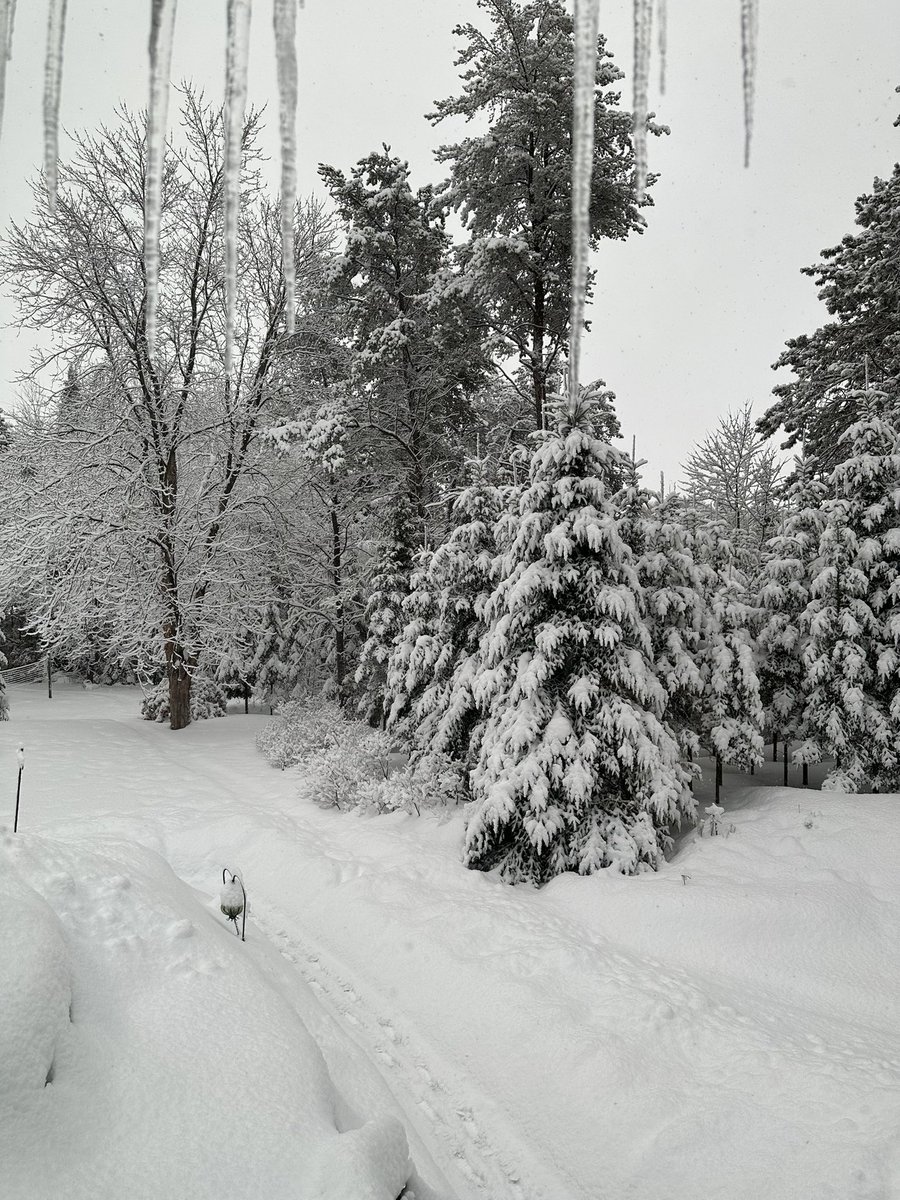 BeckyBrodeur's tweet photo. Snow day view ❄️ https://t.co/s1k9YyeW9D