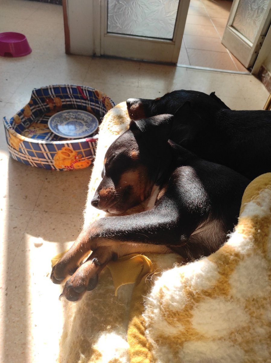 Jairo7sr tweet media