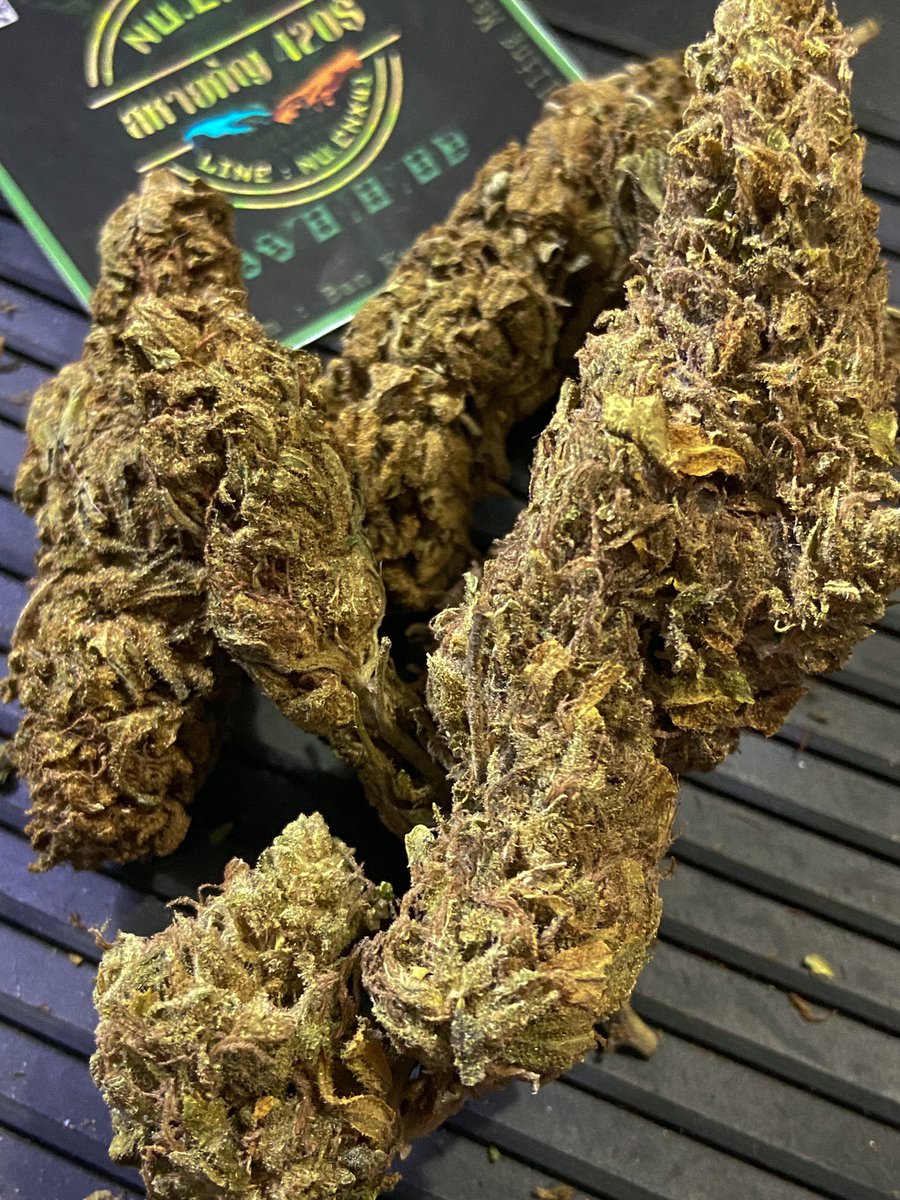 2Cannabiss4's tweet photo. Gorilla Glue 🦍💨 

🚨G/80฿ 💨 >>> https://t.co/Qt2mzy9n4r 🤏🏻 มีราคาส่งครับ #กัญชา #กัญชานอก #กัญชาเสรี #กัญชาออแกนิค #กัญชาราคาถูก #กัญชาราคาส่ง #กัญชาเเม่โจ้ #กัญชาอัดแท่ง #กัญชารังสิต #กัญชาเชียงใหม่ #กัญชาพระราม3 #กัญชาog #กัญชาพระราม3 #กัญชาไฟฟ้า #กัญชาเชียงใหม่นัดรับ https://t.co/ZrTESQEx5R