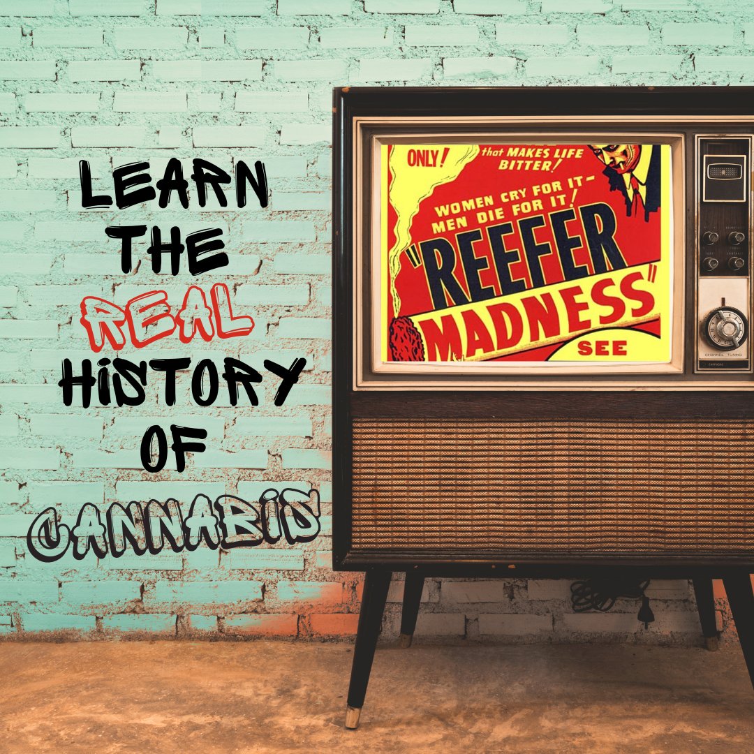 TheGreenerInst's tweet photo. Reefer Madness, the "Devil's Weed," The War on Drugs... it's time to learn the REAL history of healing with cannabis at the Oaks Canna Fest Expo Seminar Series on Saturday, January 14th and Sunday, January 15th!

Visit https://t.co/YoB3y1QubM for more info or to purchase tickets! https://t.co/0XiEzIJ6Jz