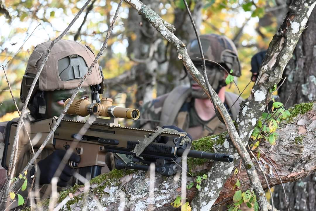 1re Division tweet media