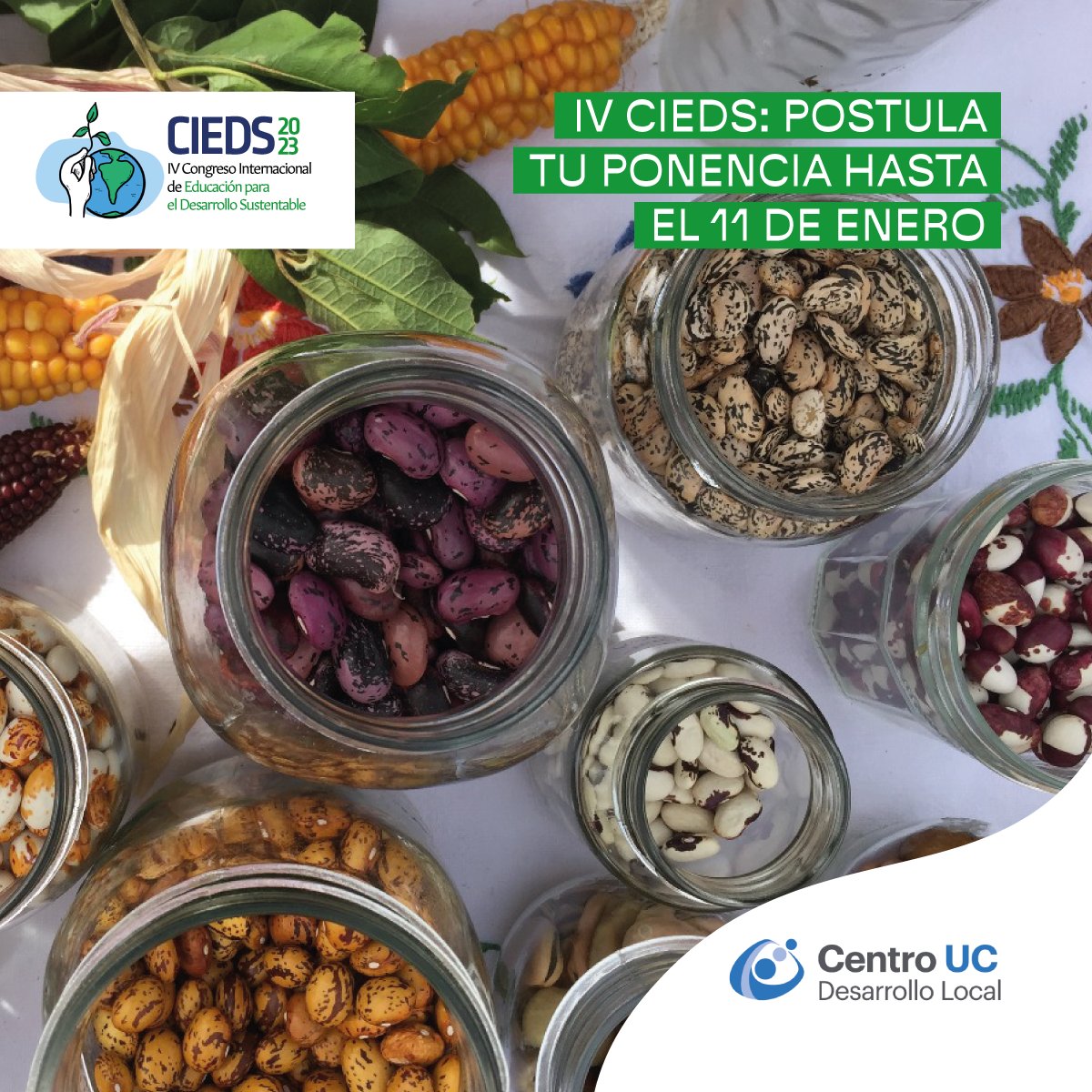 Centro UC Desarrollo Local 🌱🌎 tweet media