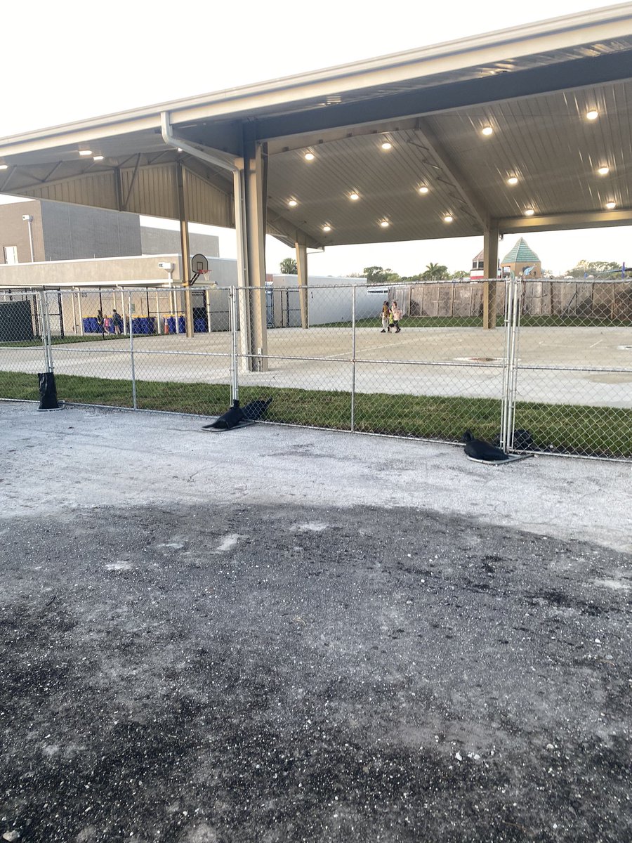 juliesessa's tweet photo. New school new day!  Jensen Beach Elementary replacement school is open !  Great work by all performing a smooth first day opening!! #jensenbeachelementary https://t.co/zPdwfSWchb