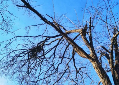 为什么那么多大富翁，为什么那么多穷人，反差太大了