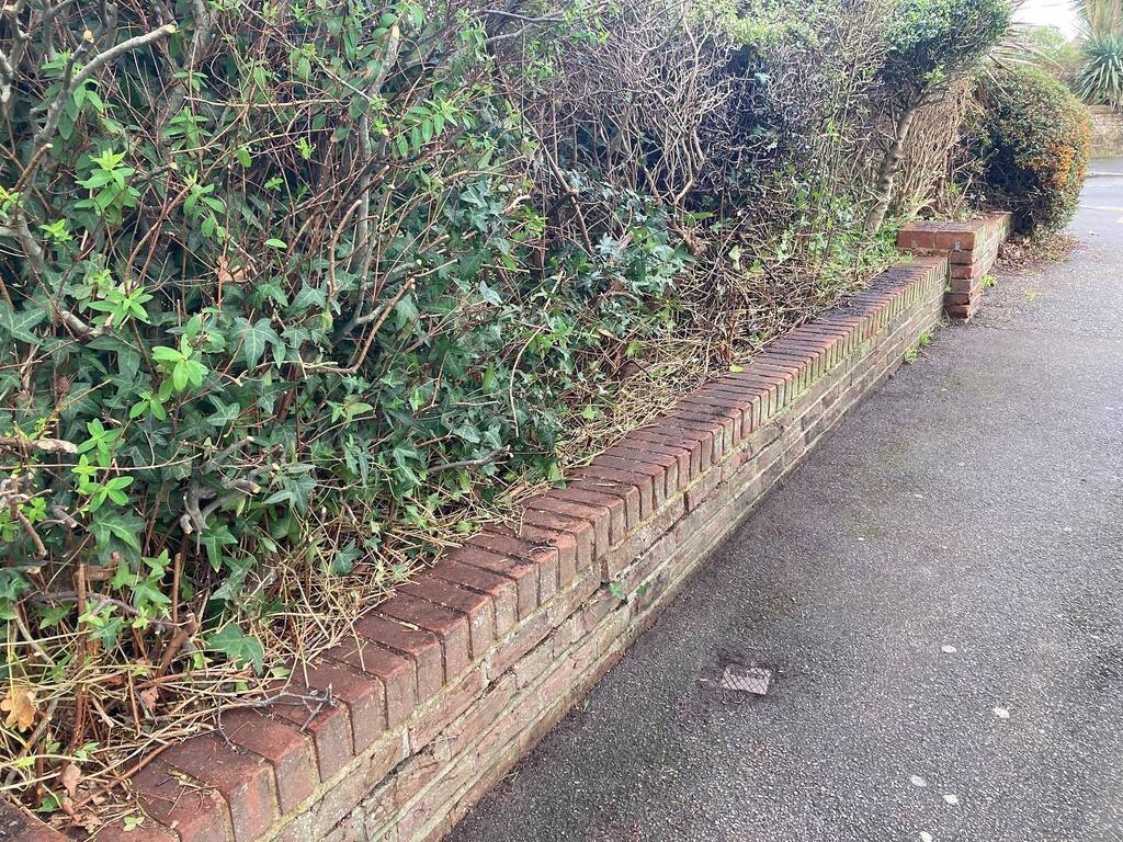 Garden Thyme Ltd tweet media