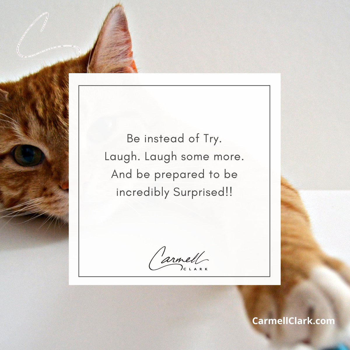 CarmellClark's tweet image. Let go. Let yourself be surprised by what arises when you do. 

(And tell me what you discover!) 

CarmellClark.com

#WedWisdom #letgo #notry #women