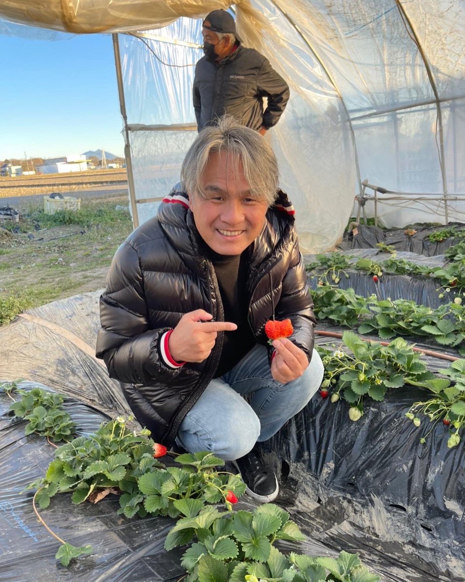 suzuken_89's tweet photo. 田村さん！最高の苺🍓
ありがとうございました🙇‍♂️

#フレーズ
#ミルキーベリー
#とちあいか
#とちおとめ
#スカイベリー
#栃木県小山市 https://t.co/DcZqE3yGsu