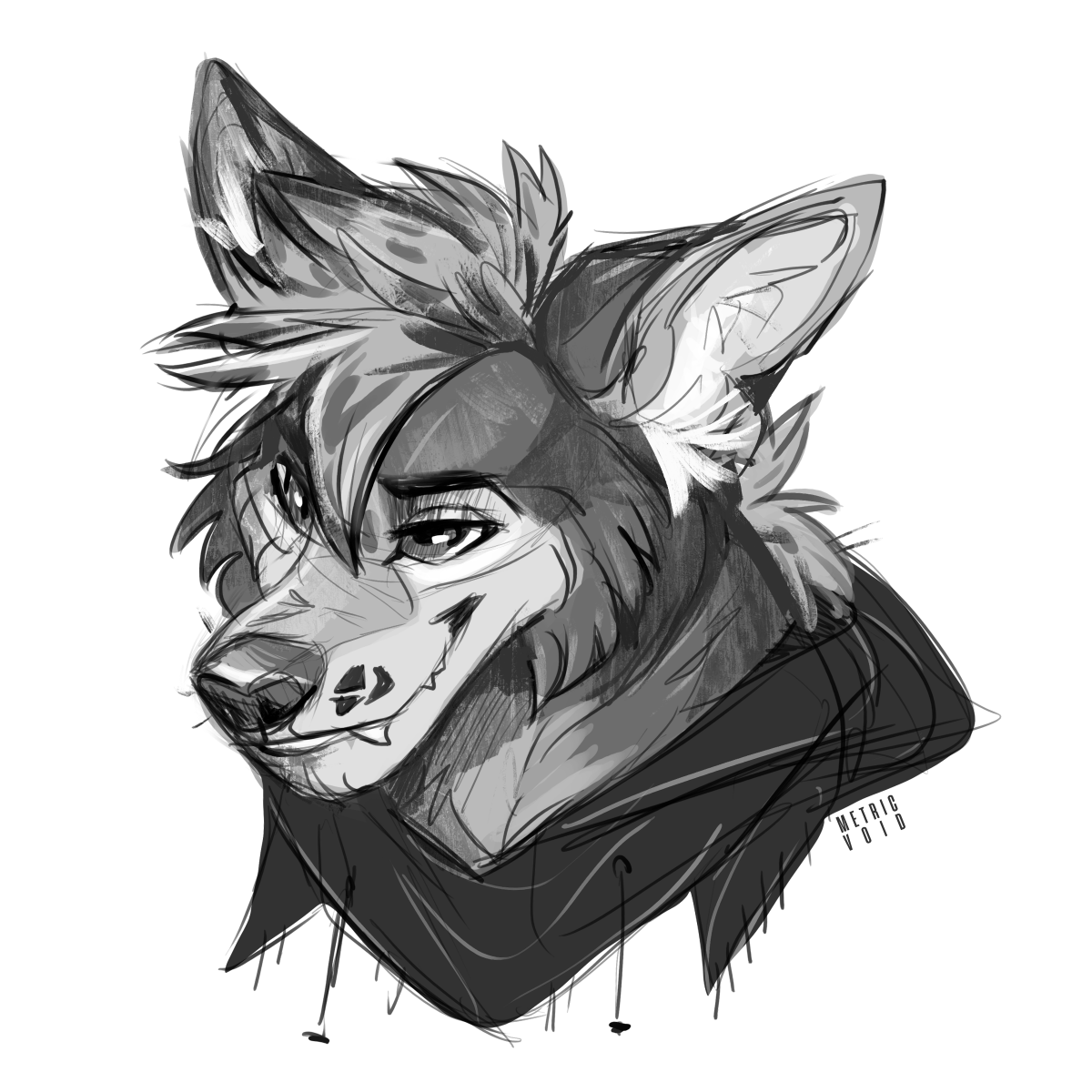 MetricVoid's tweet photo. Coyote Doodle https://t.co/ZqOKariDQJ