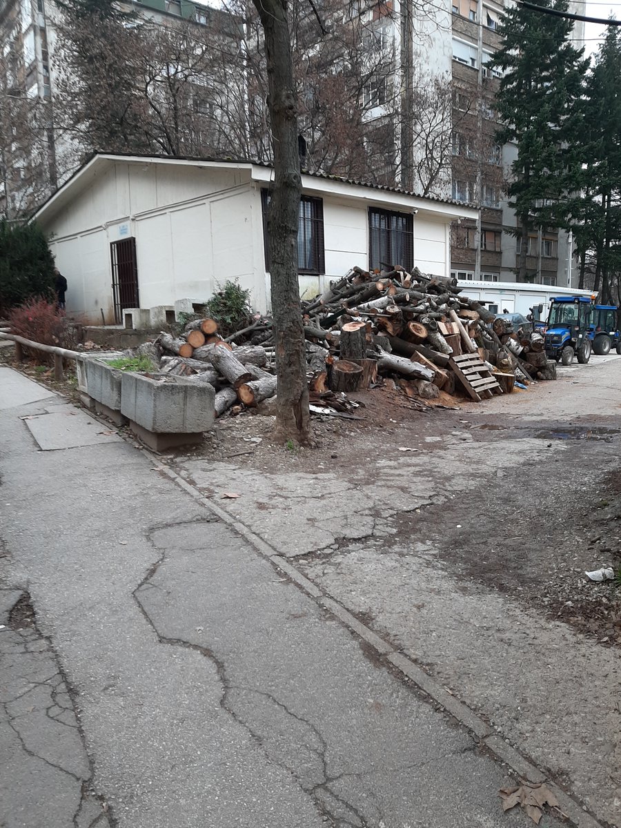 BajkaBranka's tweet photo. @Dusan520501832 U pravu skroz.Evo šta nama radi Gradsko zelenilo u Stevana Opačića.☝️Godinama se ne menja i neverovatno,niko im ništa ne može. 🤨😠😟
#prijavi_problem https://t.co/j3U7ORhMIU