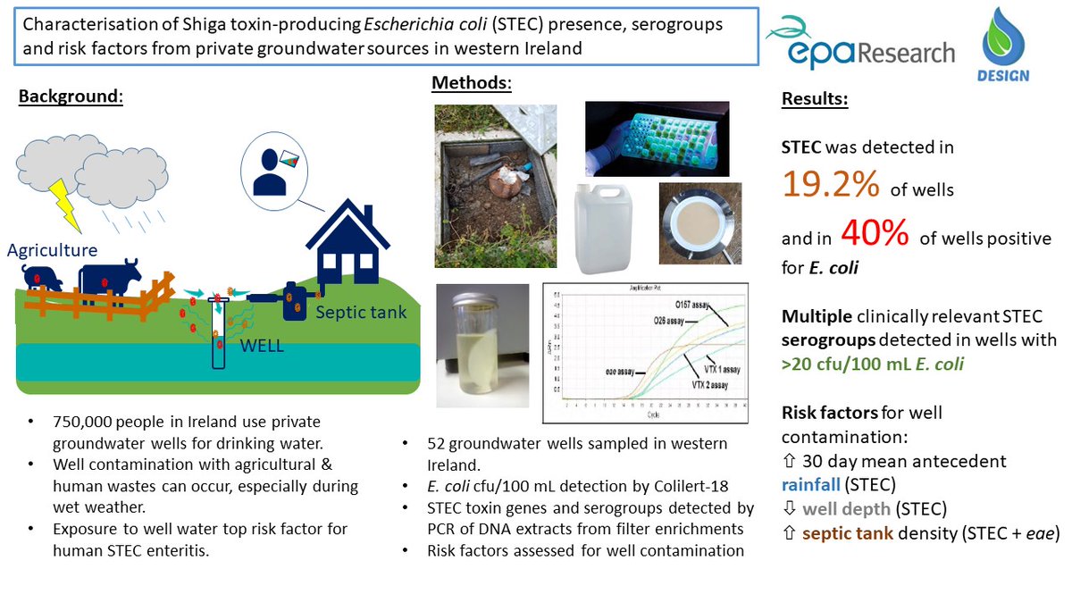Our <a href="/DESIGN_UCC/">DESIGN</a> study on #STEC in Irish private wells is available now in <a href="/STOTEN_journal/">STOTEN</a> 🥳

Huge thanks &amp; congrats to all co-authors! 

Thanks to all well owner volunteers &amp; to <a href="/EPAResearchNews/">EPA Research News</a> for funding!

Our work continues with @GalwayDERIVE project

doi.org/10.1016/j.scit…