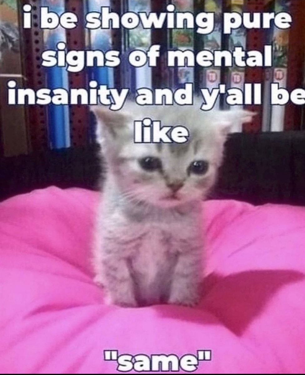 Posts Of Cats (@postsofcats) on Twitter photo 