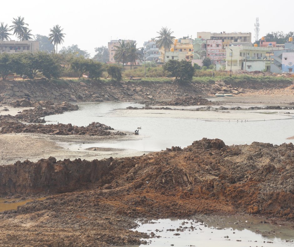 saytrees_ind's tweet photo. The bird and the?
The Bandenallasandra Tank is undergoing desilting and bund formation. We want to thank the HCL Foundation for supporting this lake conservation project.
@HCL_Foundation @hcltech @HCLHarit 
#JalJeevanMission #water #conservation #bangalorean https://t.co/hZ1j3r03Gm