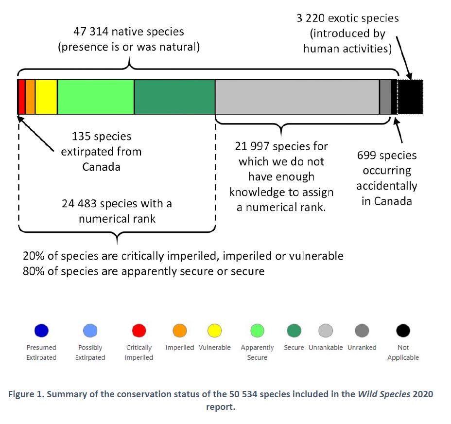 The Wild Species 2020 report was recently published and has been recognized as one of the most comprehensive national-level inventories of species (50,534 species in total). 
Find the report here: lnkd.in/gc_BzU43
#biodiversity #conservation #species