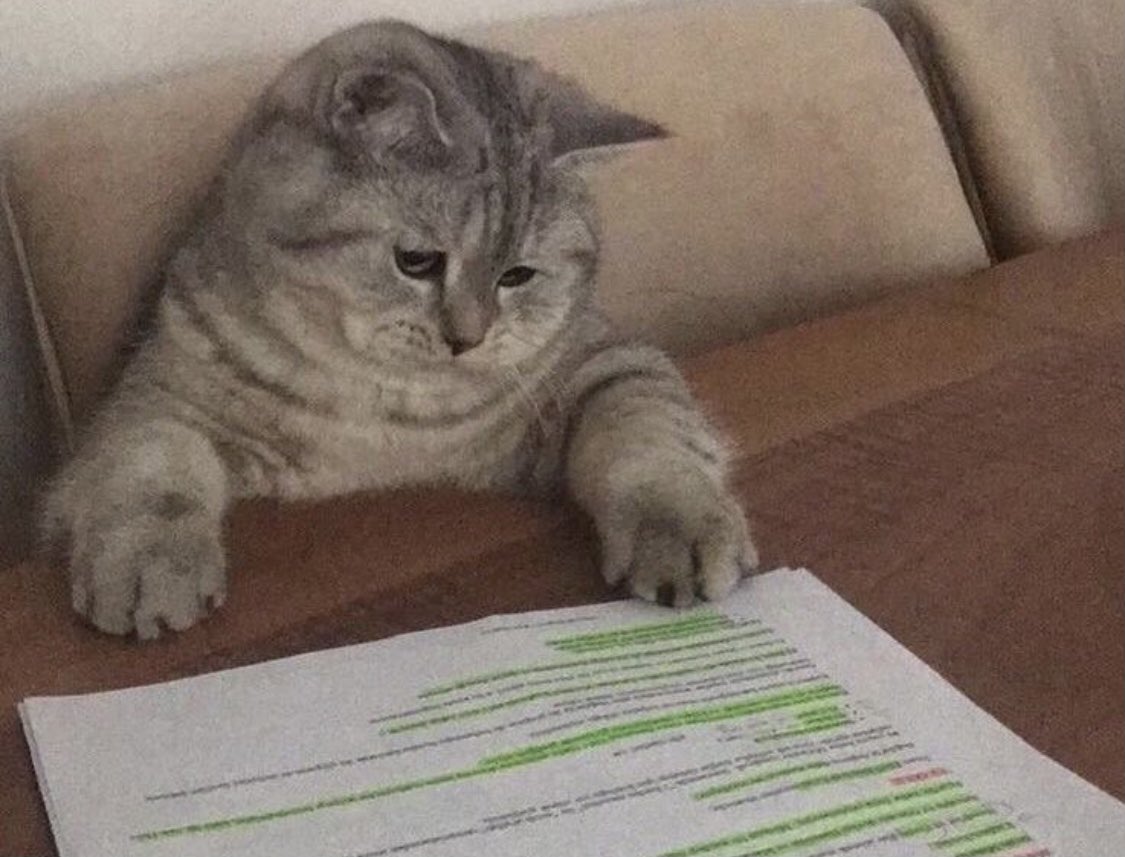 houdanii's tweet photo. me rn https://t.co/jMSwCLY0T4