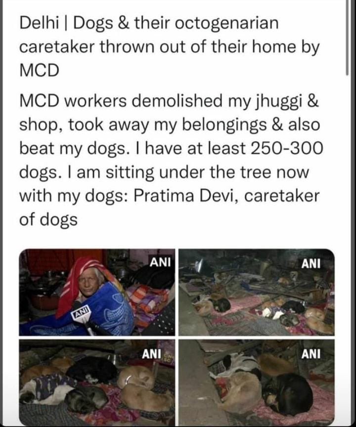 Reddevilfan99's tweet photo. @Manekagandhibjp ma’am are you looking at this? Are you really letting this happen? 

@DelhiPolice @AamAadmiParty @ArvindKejriwal @MCD_Delhi @PMOIndia @narendramodi @pfaindia @NCWIndia @peta @AmitShah 

Can anyone help this lady and her dogs? Is it a crime to be a poor in India? https://t.co/2hZYHyV3fF