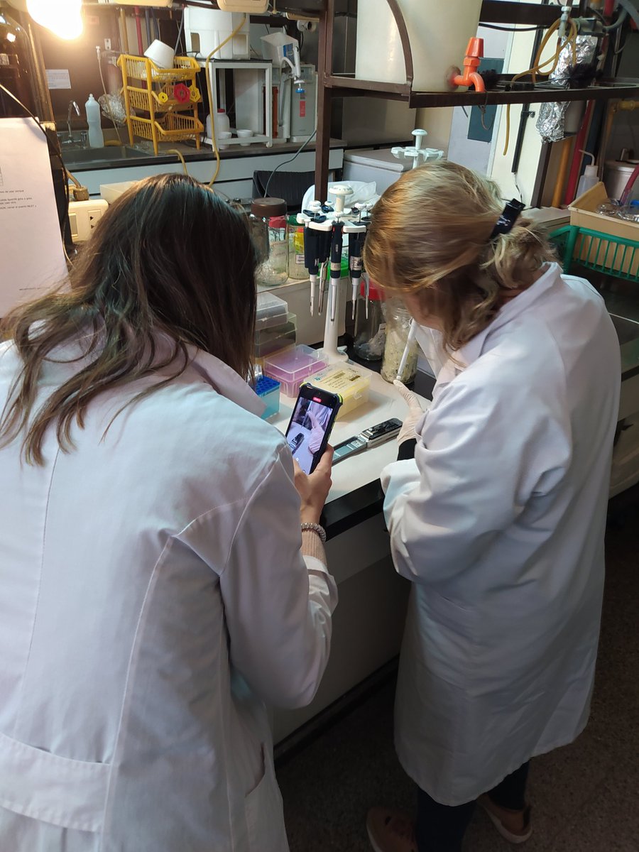 FrancoFer1982's tweet photo. Nos metimos en el mundo de las micorrizas #Mycorrhiza junto con @loregiachero y @nathimarquez1 largamos nuestro primer experimento estudiando la diversidad de estos hongos en suelos cordobeses mediante la secuenciación de amplicones largos. Tenemos datos muy interesantes! https://t.co/3jSNB392pz