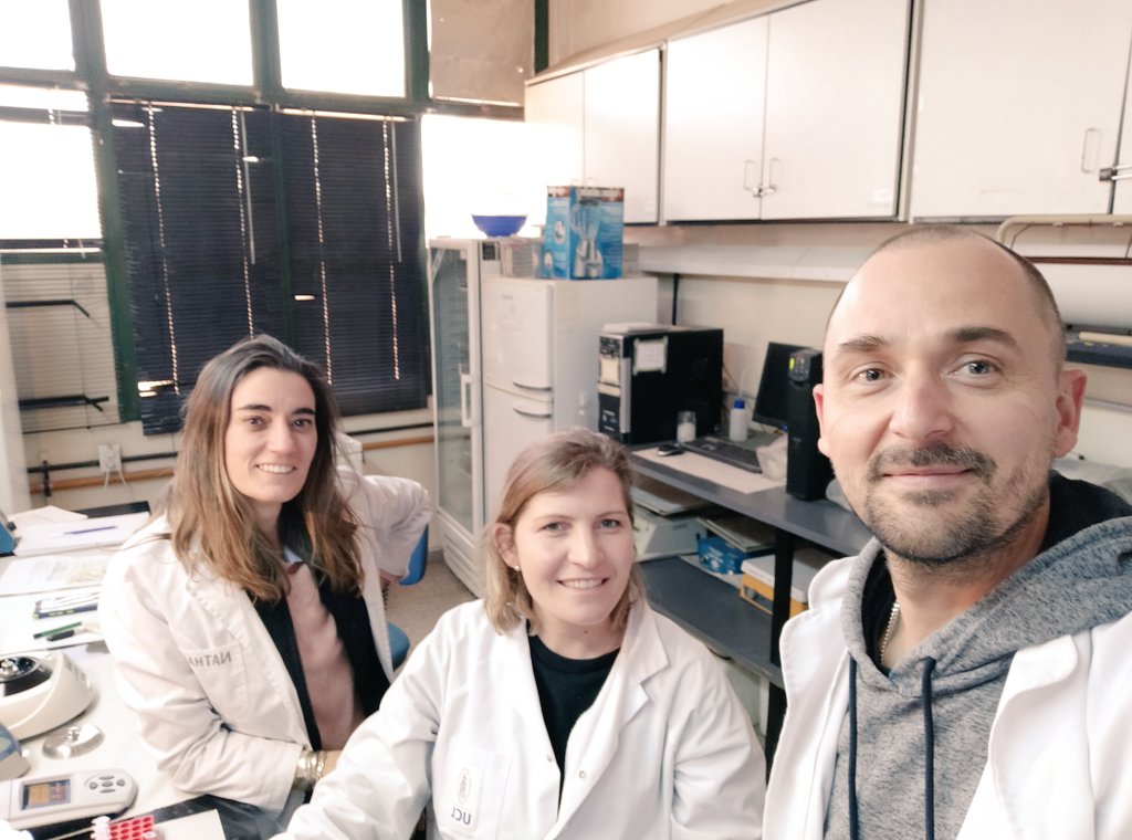 FrancoFer1982's tweet photo. Nos metimos en el mundo de las micorrizas #Mycorrhiza junto con @loregiachero y @nathimarquez1 largamos nuestro primer experimento estudiando la diversidad de estos hongos en suelos cordobeses mediante la secuenciación de amplicones largos. Tenemos datos muy interesantes! https://t.co/3jSNB392pz