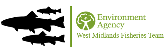 Our friends at <a href="/EnvAgencyMids/">Environment Agency Midlands</a> are looking for a new #fisheries technical specialist to join the FBG team in the West Midlands. 
All the details on the website 🐟
ifm.org.uk/vacancies/fish…