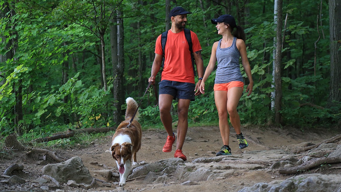 UofT's tweet photo. How do people use public parks? #UofT researchers study cellphone data to understand green space use 🏕️ https://t.co/LoP3Tv4ex1 https://t.co/ezu1ihwXb1