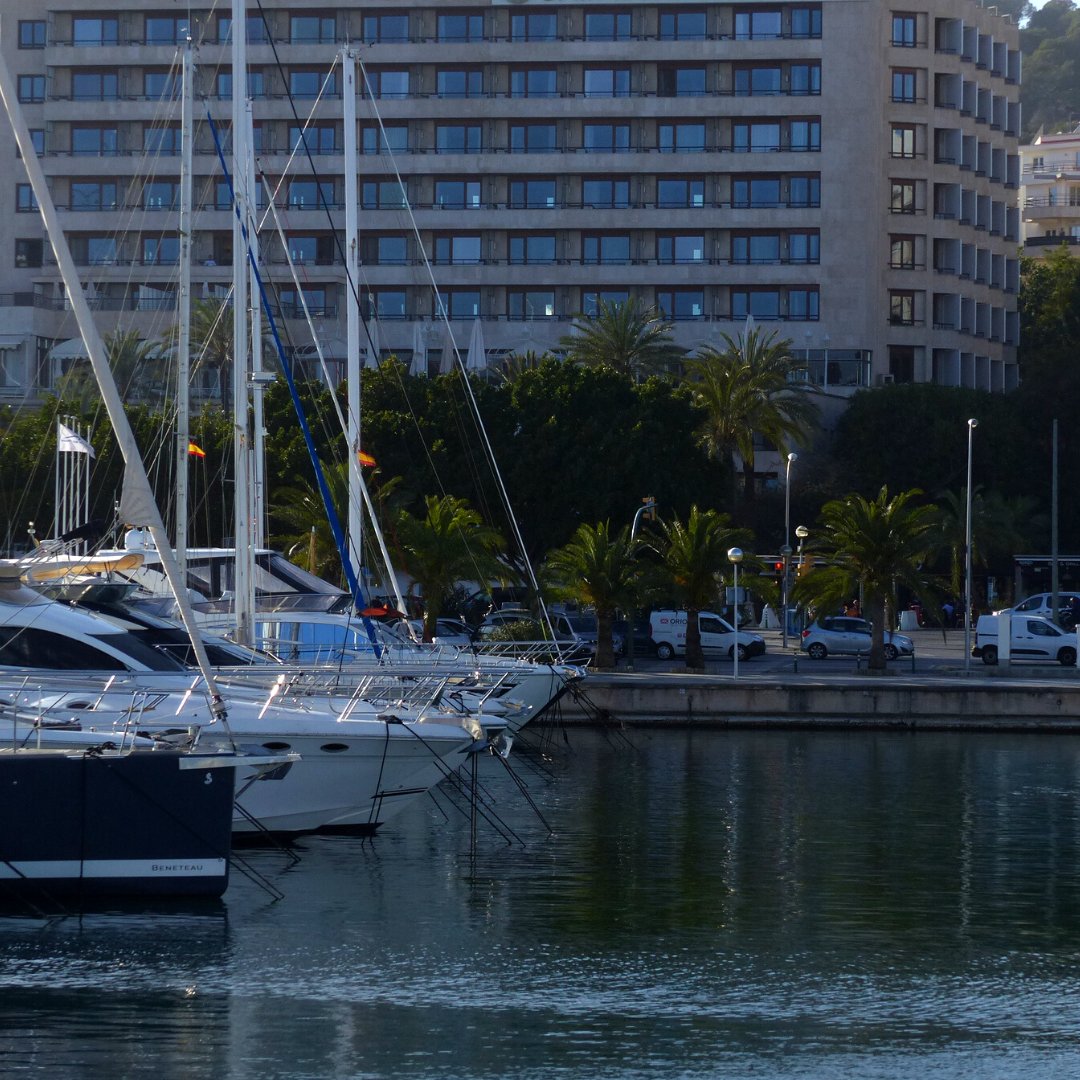 portdemallorca's tweet photo. Welcome 2023!
#marinaportdemallorca #palmademallorca #berth #sailingcrew #marina #boat #classics #sailinglife⛵️ https://t.co/QhxTvSiivf