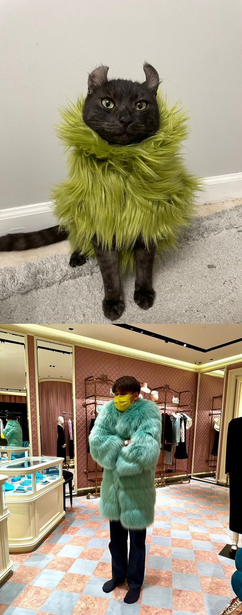 Beyonsai_'s tweet photo. When cattawin dressed in fur coat 🤣🤣
#Nnattawin @Nnattawin1 https://t.co/vLAyWxkbY1