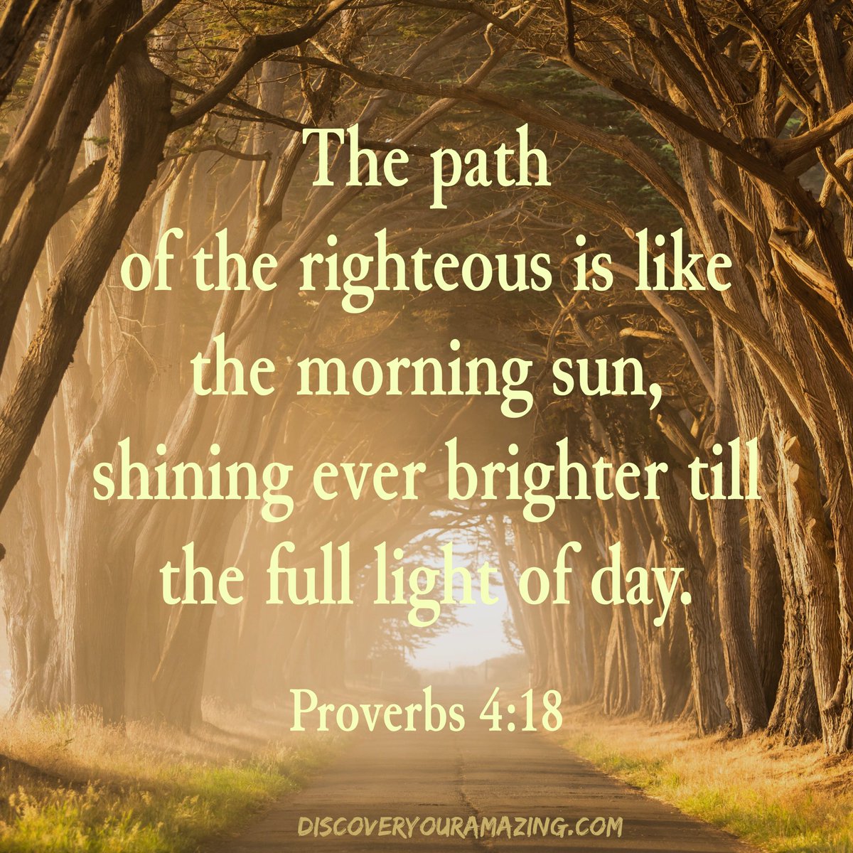 drgerrylewis's tweet image. I couldn’t read this verse without thinking of all the “light” metaphors in the Scriptures. The Light of the world (Jn 3:19, 8:12, 9:5) has not yet eliminated darkness, but He has invaded/overcome the darkness. #todaysverse #lightoftheworld #lightforthepath #discoveryouramazing