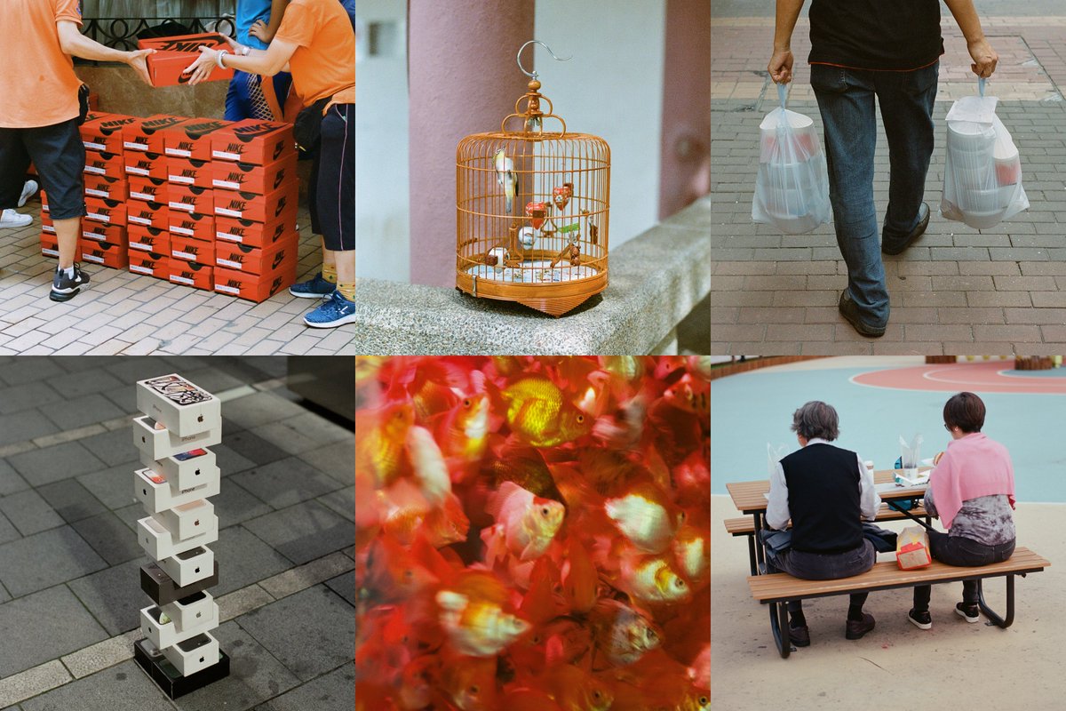 1 tez

objkt.com/@clphoto 

#NFTCommunity #nftphotography #tezos