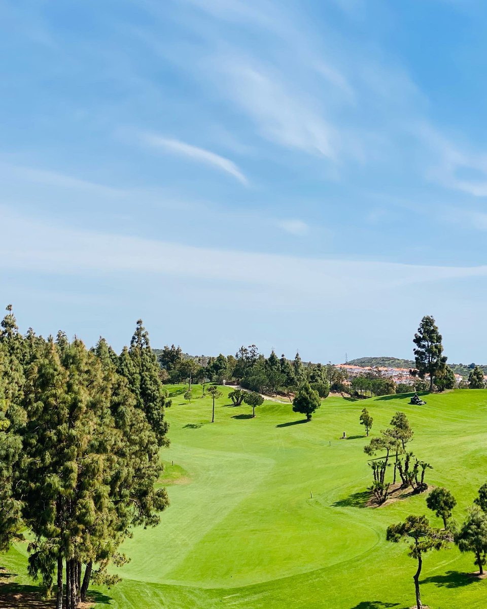 Any plans for the weekend?

2 GF & Buggy for only 110€! 

Booking online; golfelchaparral.com/en

#costadelsol #costadelgolf #teetimes #greenfees #mijasgolf #marbellagolf #golflife #andaluciagolf #golfinspain