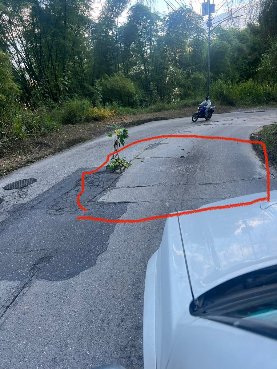 esifontes's tweet photo. En la vía principal de Oripoto, en el 3er derrame de agua, la vía se está hundiendo y como son placas, se caerá el pedazo. Debe de estar dragado. ⁦@ElHatillo⁩ ⁦@NotiHatillo⁩ ⁦@eliasayegh⁩ ⁦@ElHatillano⁩ https://t.co/Jx64gKage2