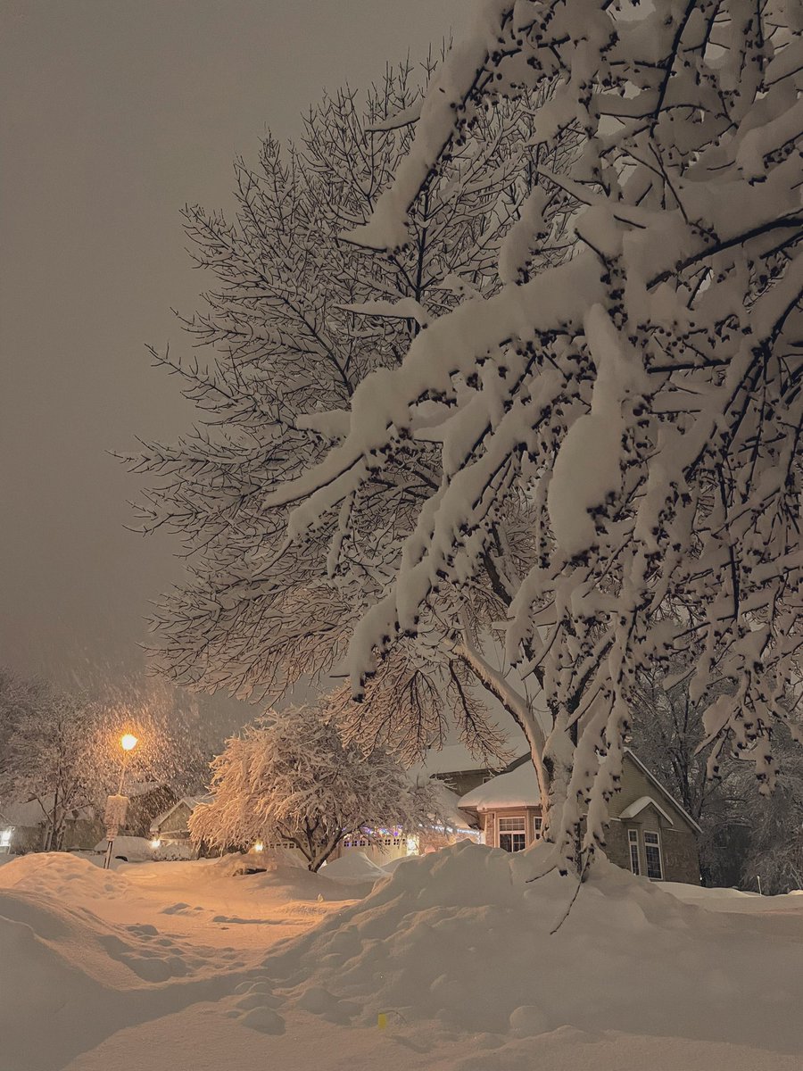 Laurin🕊 tweet media