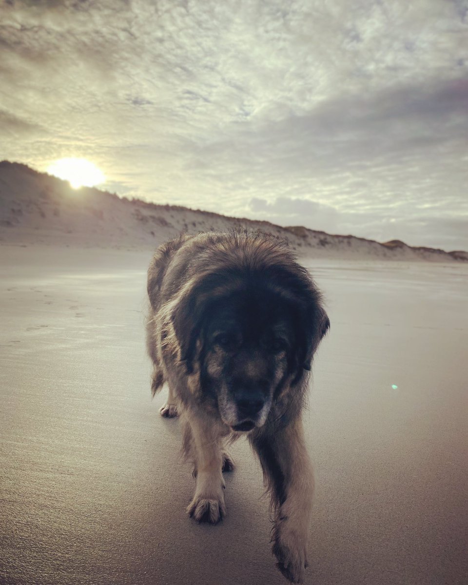 Sam_be_awesome's tweet photo. Fearghas beach poser https://t.co/2X3PPOImqF