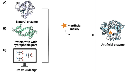 ChemBioChem (@chembiochem) on Twitter photo Design of Artificial Enzymes: Insights into Protein Scaffolds (Drienovska) <a href="/IvanaDrienovska/">Ivana Drienovska</a> #openaccess onlinelibrary.wiley.com/doi/10.1002/cb… Design of Artificial Enzymes: Insights into Protein Scaffolds (Drienovska) <a href="/IvanaDrienovska/">Ivana Drienovska</a> #openaccess onlinelibrary.wiley.com/doi/10.1002/cb…