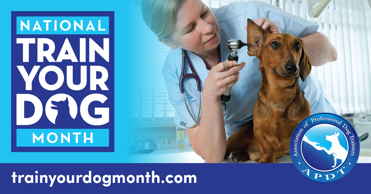 APDT's tweet photo. January is the APDT's National Train Your Dog Month! Follow us as we share ways to increase your bond with your dog. Today you can learn ways to help your dog enjoy a visit to their veterinarian. Read here https://t.co/ZJ4ZcSQp5P
#NTYDM2023
#APDT https://t.co/RShUGDPcIl