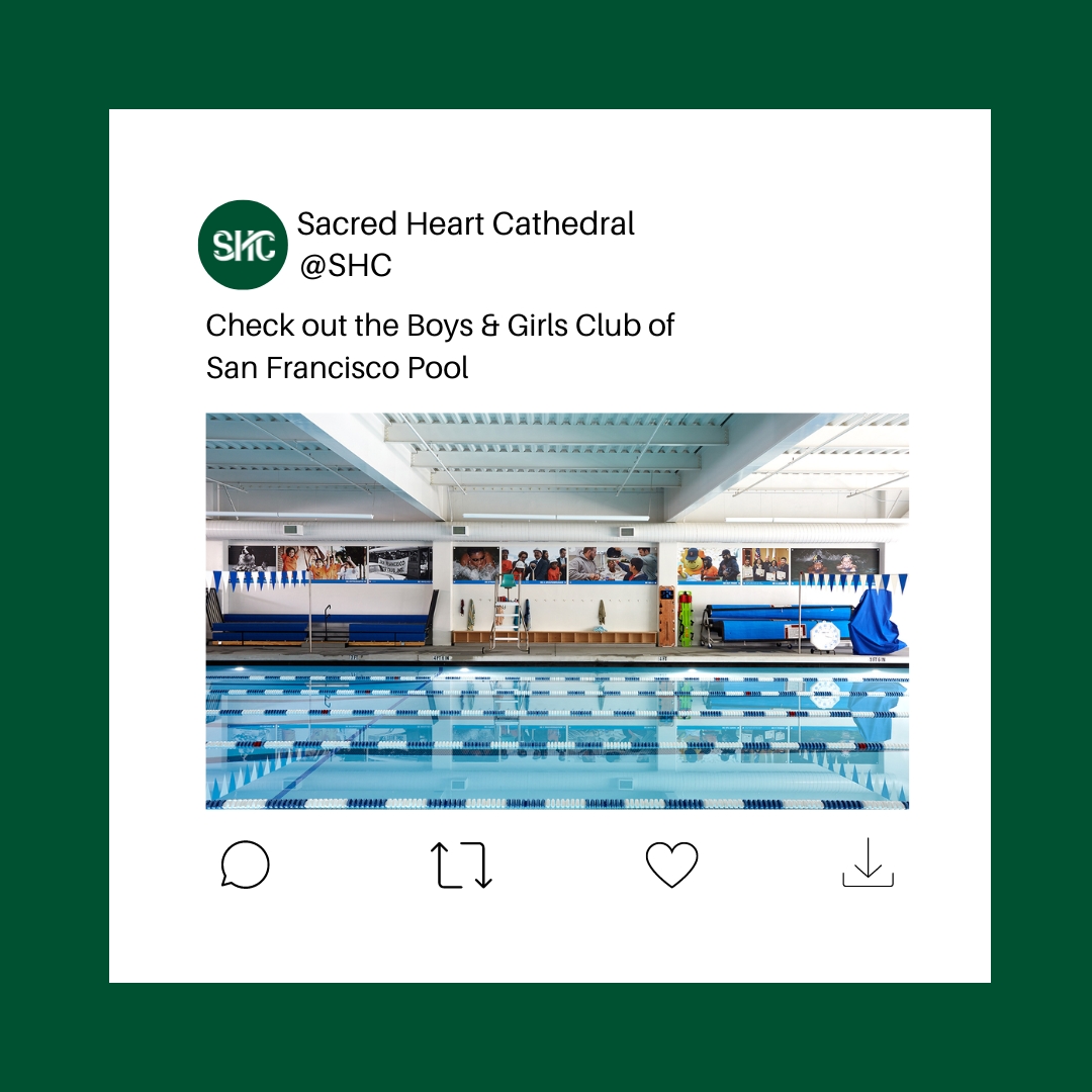 SHCathletics's tweet photo. Check out the Boys & Girls Club of San Francisco Pool
#SHC partners with #BGCSF for boys and girls swimming where the Irish train and compete.
https://t.co/vWJ9rJ4uNg
π π π
#HeartOfTheCity, #TheFamily, #GoIrish, #IrishUp #alumnispotlight #alumniassociation #FightinIrish https://t.co/2HTT4Vs0j2