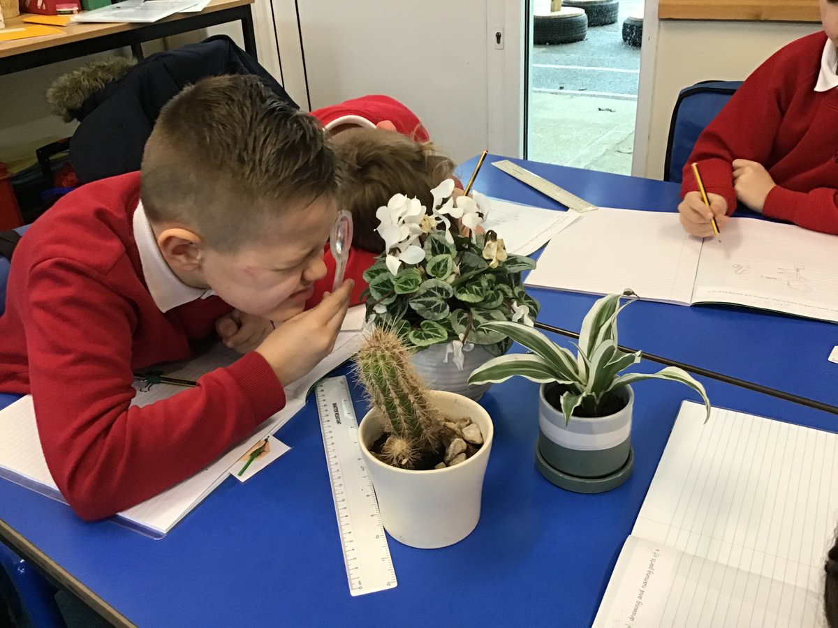 PSMPrimary's tweet photo. First day of Term 3 in Year 2. Today during science we worked scientifically and observed, drew and named parts of a plant. #psmps #fun #science #plants #drawing #naming #observation #year2 #term3 https://t.co/hUvvgvuW19