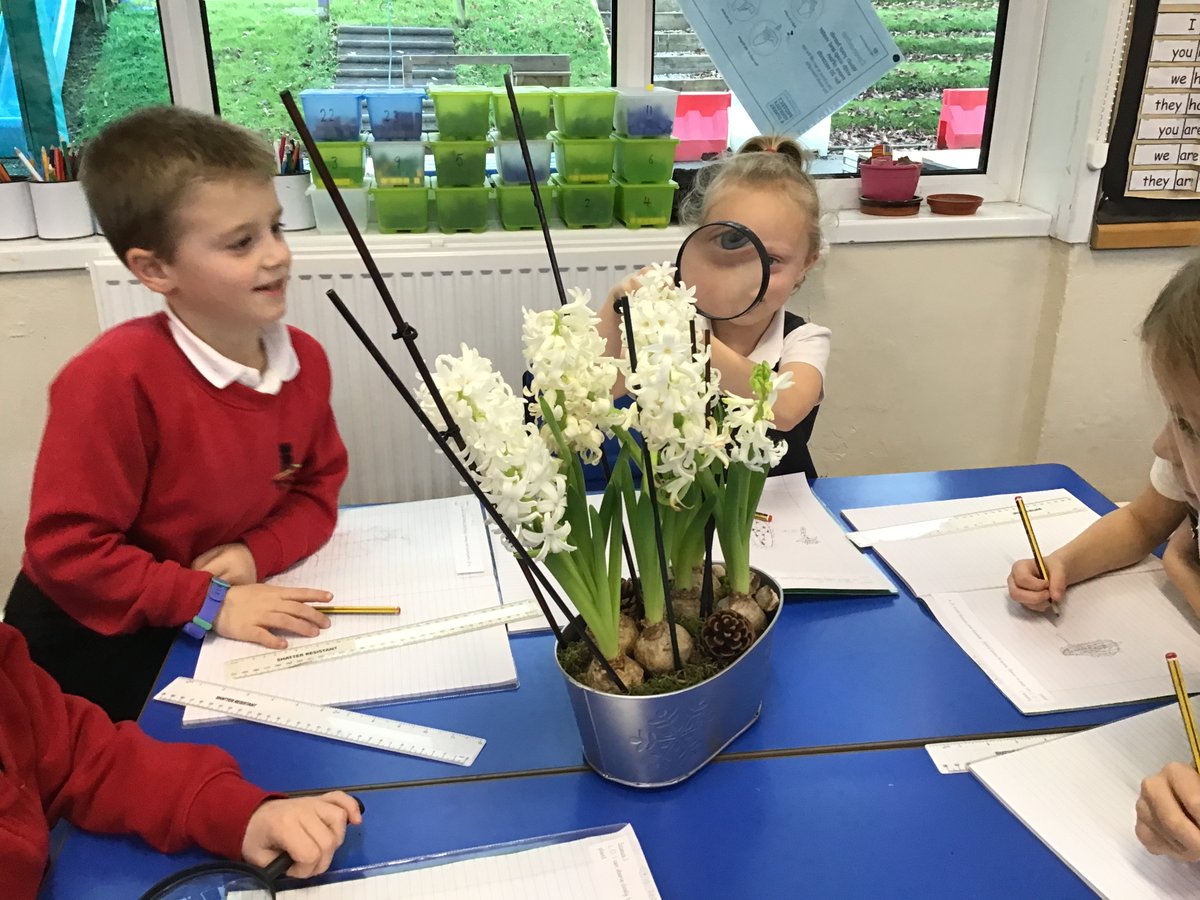 PSMPrimary's tweet photo. First day of Term 3 in Year 2. Today during science we worked scientifically and observed, drew and named parts of a plant. #psmps #fun #science #plants #drawing #naming #observation #year2 #term3 https://t.co/hUvvgvuW19