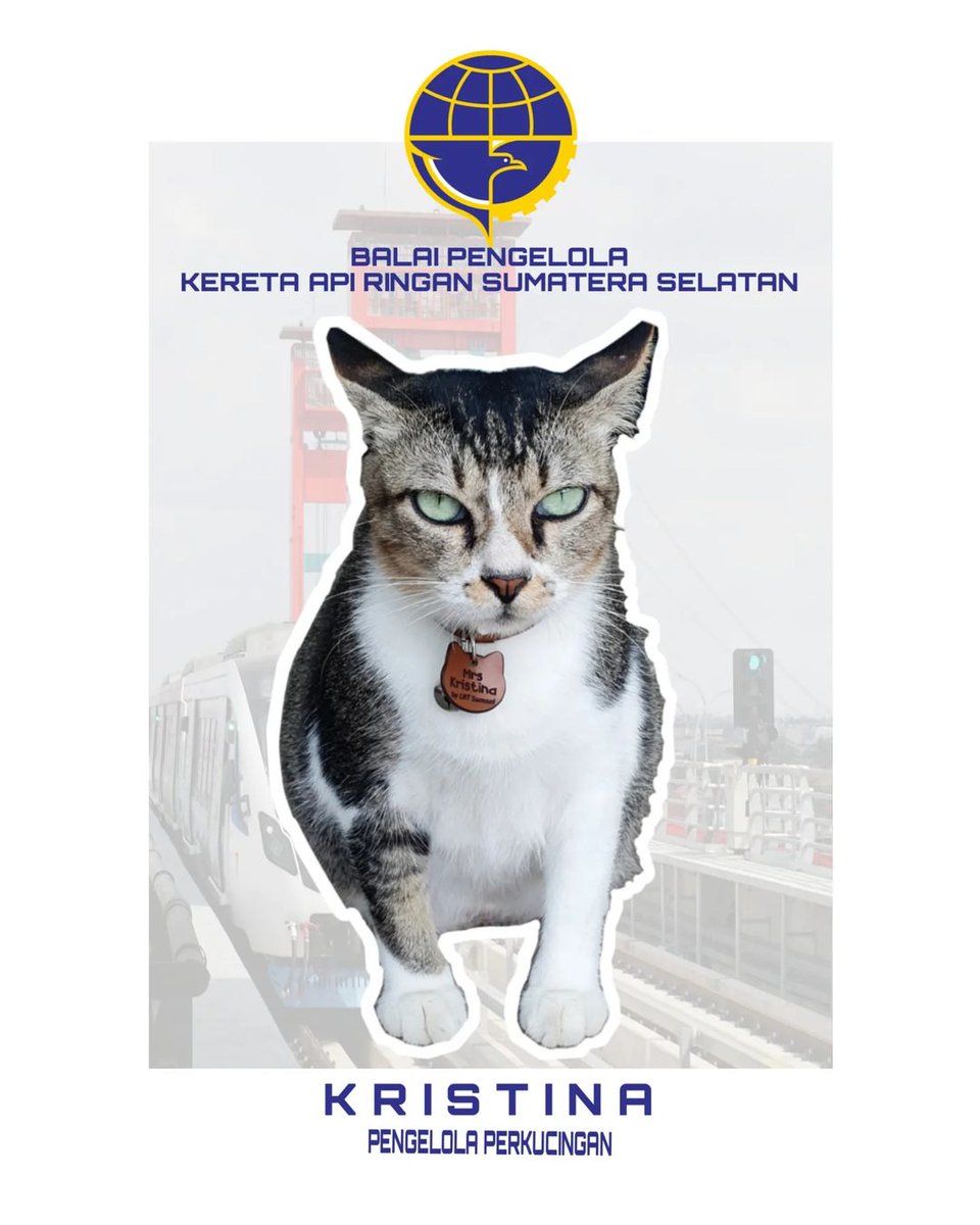 kochengfs tweet picture