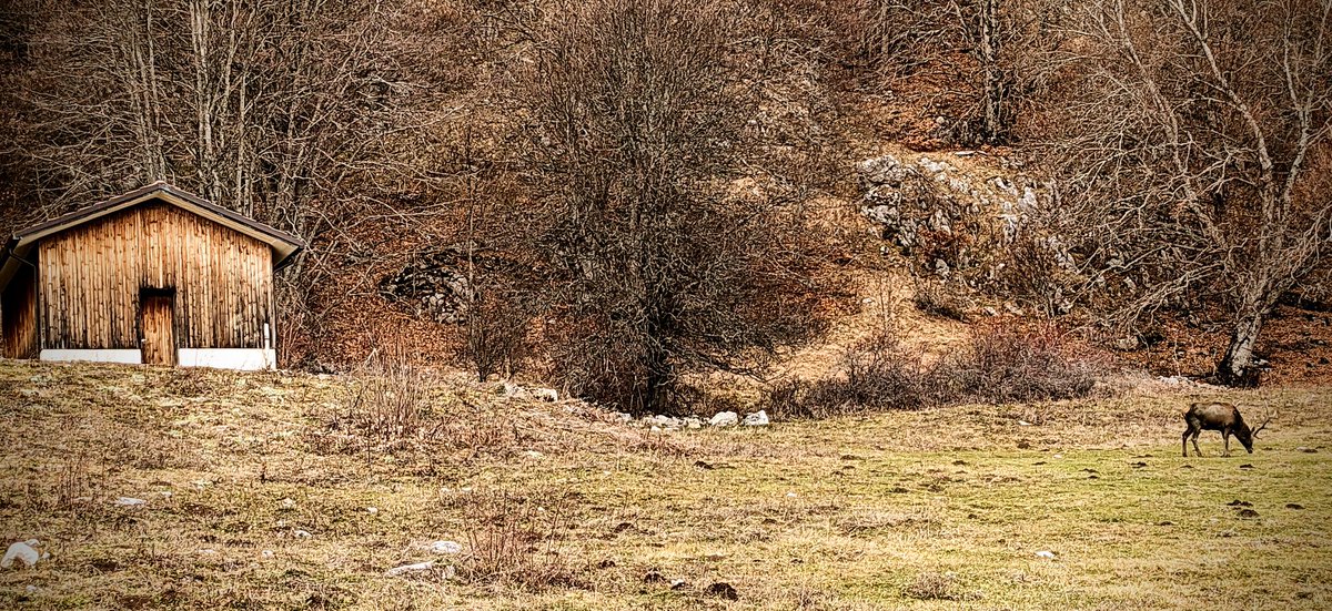 Skech82's tweet photo. Io e te nel #bosco. #abruzzo #gamberale @parcomaiella #maiella #nature #NaturePhotography https://t.co/uVAy7IUMeu