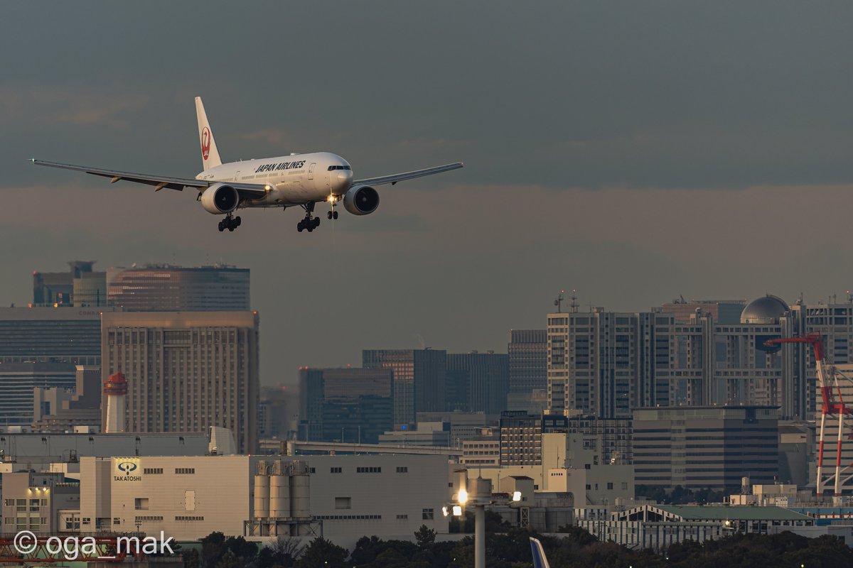 oga_mak's tweet photo. たまには引きの画で
✈️JA702J - Boeing 777-246ER - Japan Airlines - JL910(OKA-HND)
✨RWY16L↘ HND T2, 1/1/2023, 16:40
#キヤノン #Canon #R3 #EOSR3 #EF500F4LISII #DxO #DeepPRIME https://t.co/wqeOFQ0QNV