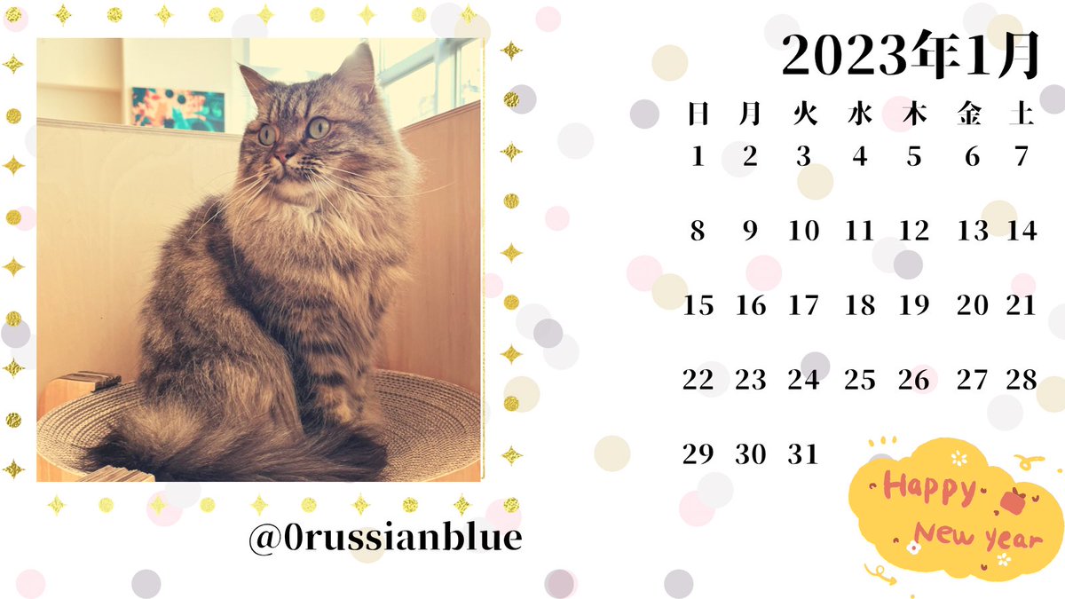 0russianblue's tweet photo. 1月み��いちゃんカレンダー🐾

✨Happy New year✨

たま〜につぶやきますので、
今年もよろしくお願いしますฅ*•ω•*ฅ♡

#猫  #ねこ #猫好き #猫写真 #cat #マンチカン #みらいちゃん #ファンメイド #moffanimalcafe #2023年 #1月 #カレンダー #HappyNewYear2023 https://t.co/SQprnir9rl