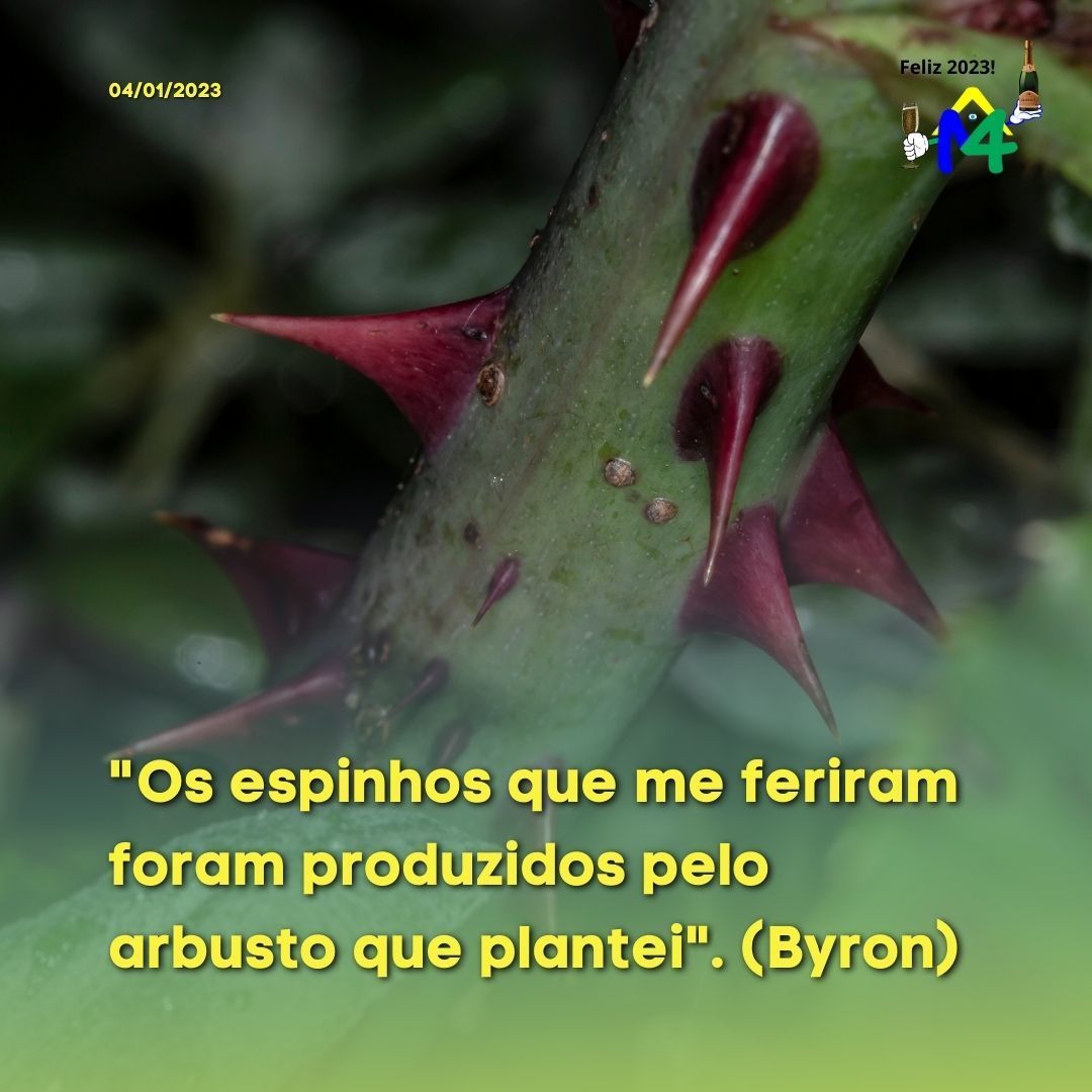 m4comunicacao's tweet photo. Nós somos responsáveis pelos resultados da nossa vida, quer aceitemos ou não. 

#m4comunicacao #m4comunicacaooficial #assessoriadeimprensa #assessoriadecomunicação #assessoriademarketing #açãoereação #byron https://t.co/s8EaapVon4
