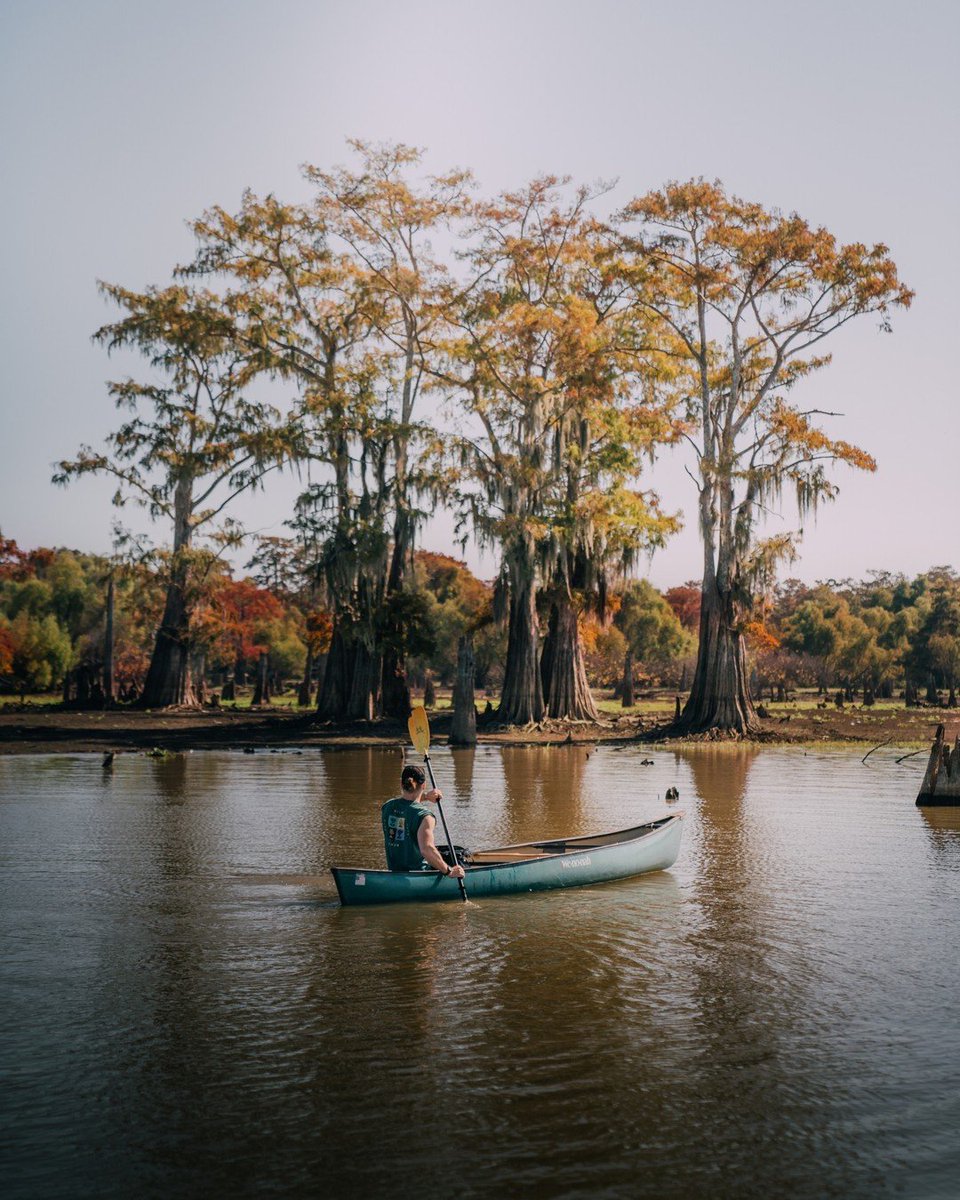 Early mornings exploring the Atchafalaya Basin. This is where the Atchafalaya River and the Gulf of Mexico meet! #OnlyLouisiana

📸 @guyjdavies @jamesnorbury_