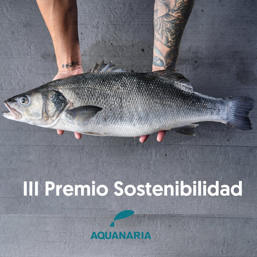 Finalistas III Premio sostenibilidad en Madrid Fusión Alimentos de España 2023 madridfusion.net/es/magazine/po… <a href="/aquanariafish/">Aquanaria</a>  #madridfusion2023 #madridfusion23