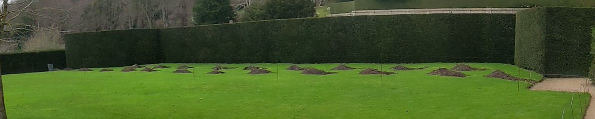 Endolf's tweet image. Seems @NTDyrhamPark @nationaltrust are training the 2023 class of moles...