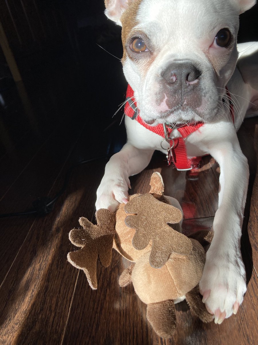 Mary Beth Goodman tweet media