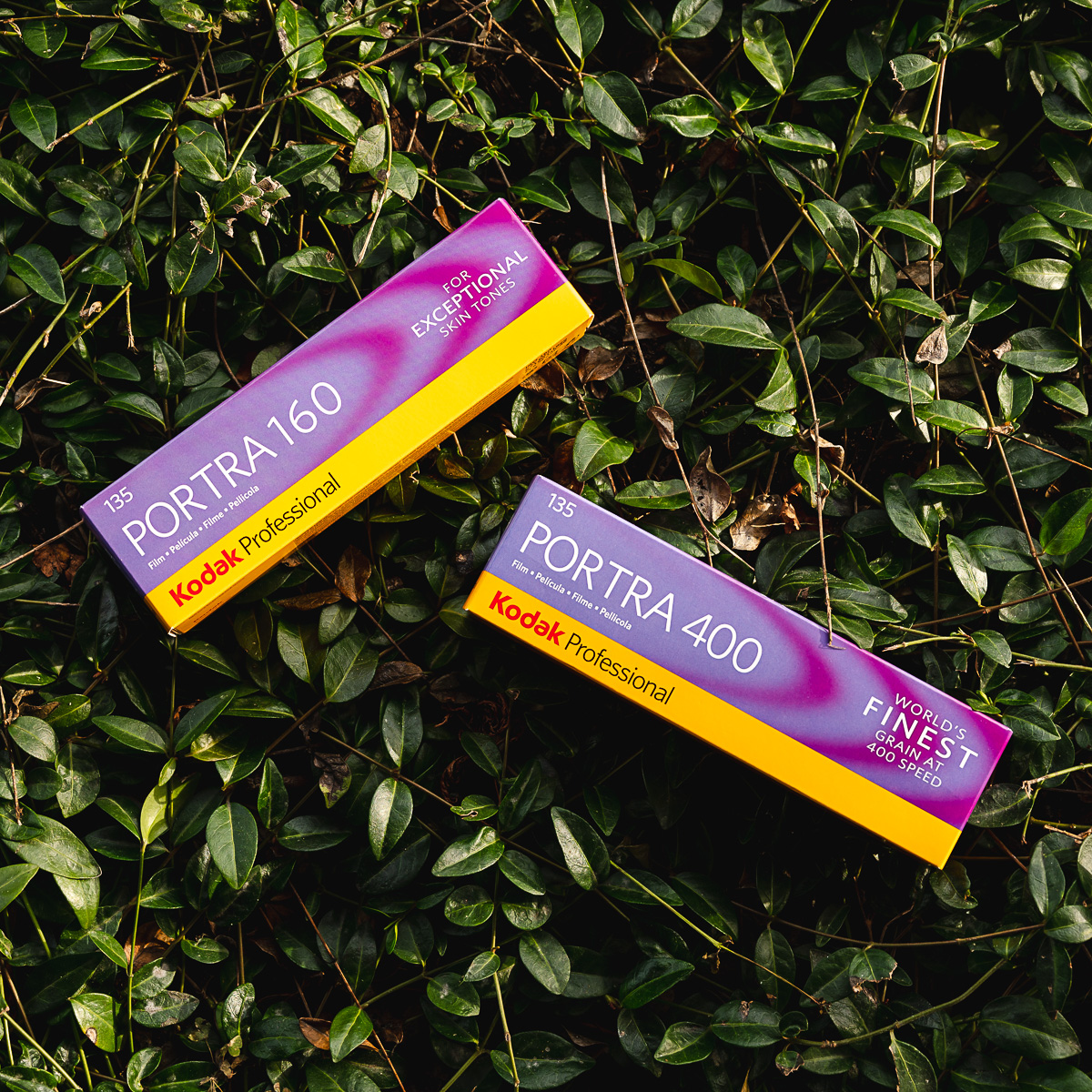 beauphotostore's tweet photo. Back in stock! Portra 400 and 160 in 35mm. #filmatbeau #portra400 #kodakfilm https://t.co/r1ajcF4hEx