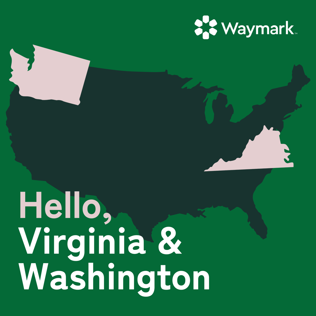 Waymark tweet media