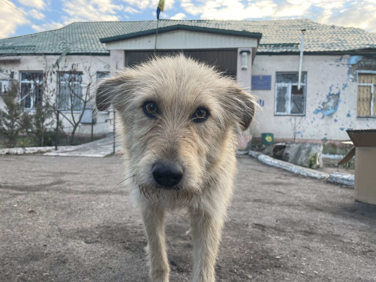 Fr. Vyacheslav SAC tweet media